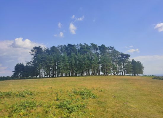 united-kingdom/gloucestershire/attraction/may-hill-2