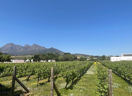 south-africa/cape-winelands/landmark/babylonstoren-wine-estate