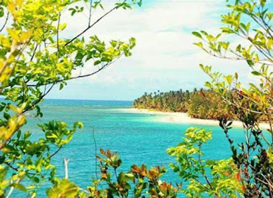 dominican-republic/punta-cana/landmark/laguna-bavaro