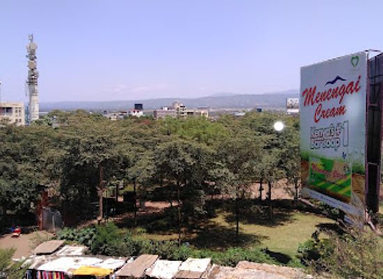 kenya/kisumu/kisumu-cbd/landmark/freedom-park