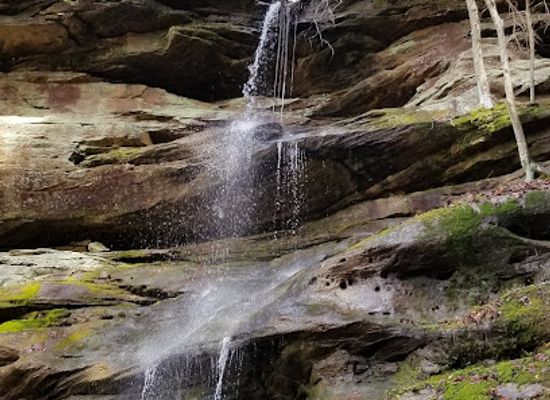 alabama/bankhead-national-forest/landmark/randolph-trail-head-parking-bankhead-national-forest