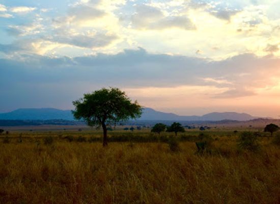 uganda/kidepo-valley-national-park/landmark/kidepo-river