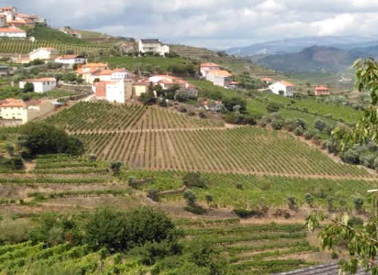 portugal/douro/landmark/dourocaves