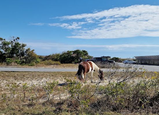 virginia/tidewater/landmark/assateague-island-national-seashore-entrance-station