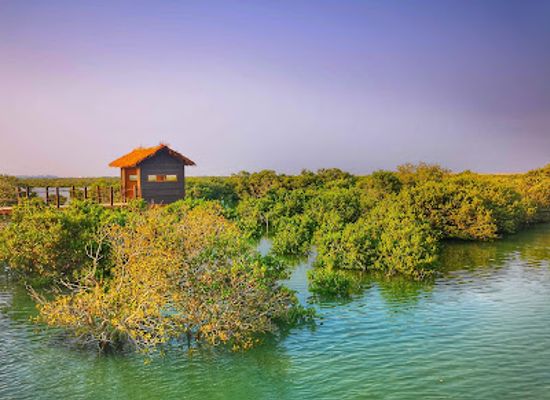 qatar/al-thakira-mangroves/landmark/purple-island-mangroves