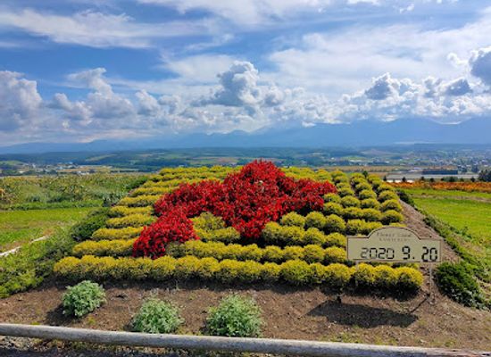 japan/hokkaido/landmark/flower-land-kamifurano