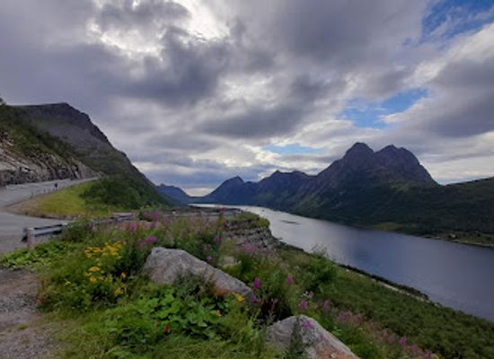 norway/senja-island/landmark/gryllefjord-observasjonskurve