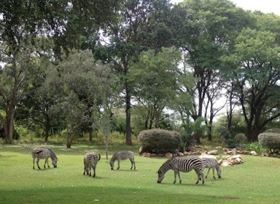 zambia/lusaka-national-park/landmark/the-cross-park