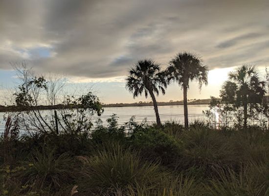 florida/sun-coast/landmark/jiggs-landing