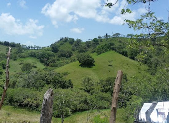 dominican-republic/cibao-valley/landmark/cibao-stadium