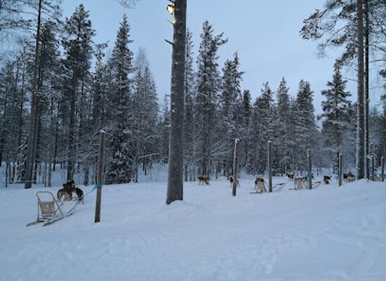 finland/pyha-luosto-national-park/landmark/arctic-husky-farm