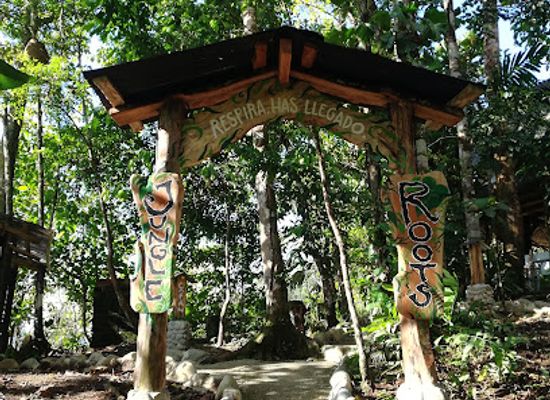 ecuador/southeast-oriente/landmark/jungle-roots