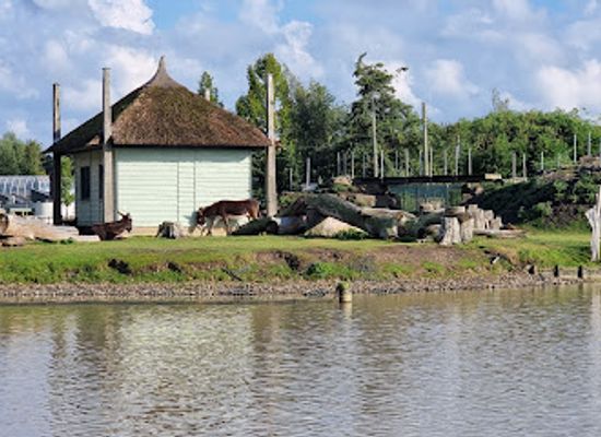 netherlands/drenthe-province/landmark/center-parcs-de-huttenheugte