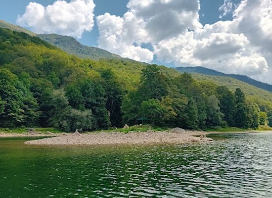 montenegro/lakes-of-plav/landmark/biograd-forest