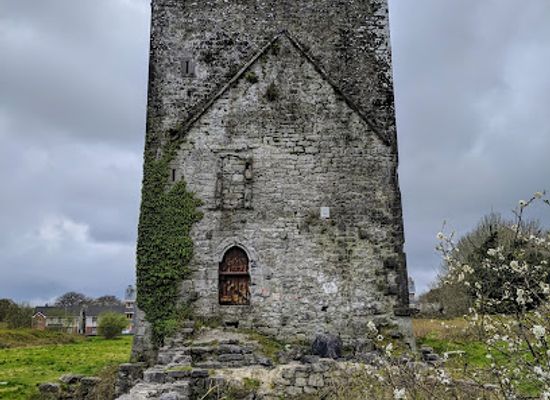 ireland/county-galway/landmark/merlin-park-woods