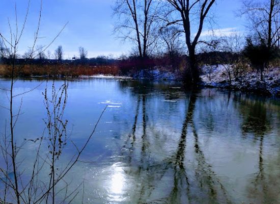 michigan/bay-city/landmark/frankenlust-township-nature-park