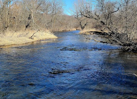 illinois/river-bend/landmark/leroy-oakes-forest-preserve