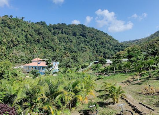 saint-lucia/dennery-quarter/landmark/project-chocolat