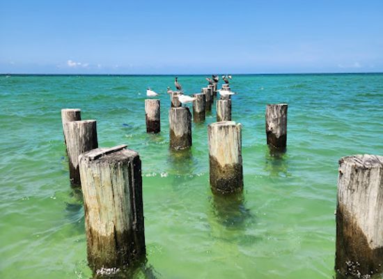 florida/naples-beach/landmark/1st-ave-beach-access