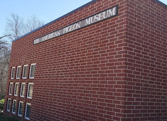 oklahoma/oklahoma-city/adventure-district/landmark/the-american-pigeon-museum-library