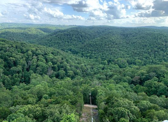 arkansas/ozark-mountains/landmark/razorback-tower