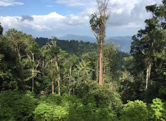 malaysia/taman-negara-national-park/landmark/japanese-village