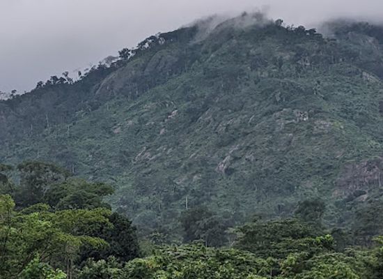 nigeria/tiv/landmark/afi-river-forest-reserve
