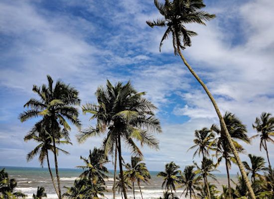 india/goa/vagator/landmark/little-vagator