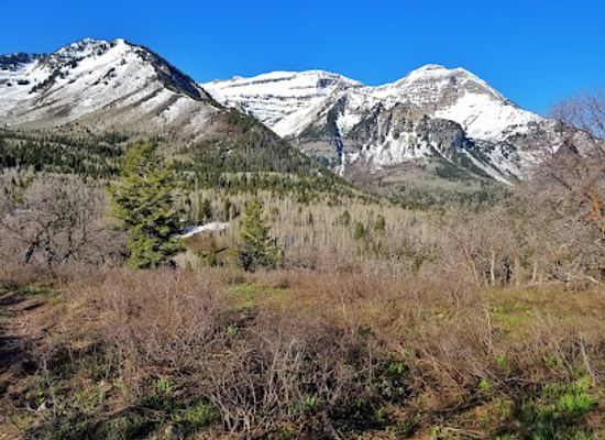 utah/cedar-valley/landmark/american-fork-canyon