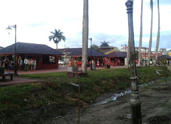 suriname/wanica-district/landmark/palmtree-garden