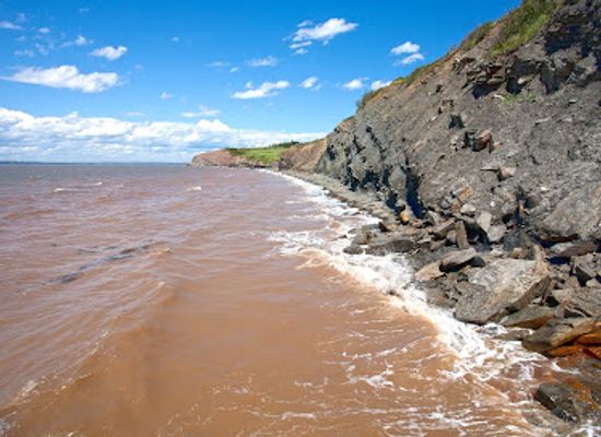 canada/maritimes/landmark/joggins-fossil-centre