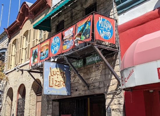 texas/austin/landmark/museum-of-the-weird