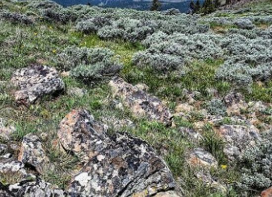 oregon/wheeler-county/landmark/ochoco-mountains