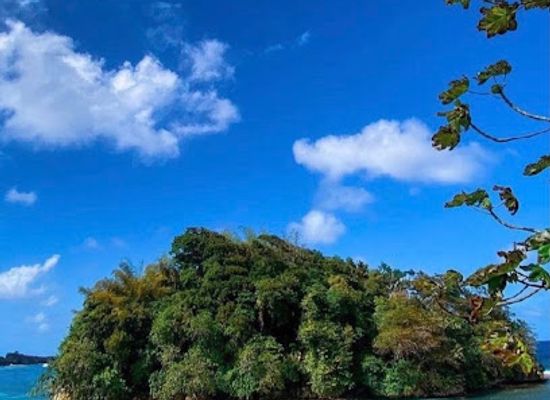 jamaica/santa-cruz-mountains/landmark/kaya-herb-house