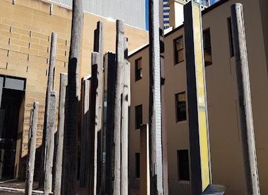 australia/sydney/landmark/edge-of-the-trees