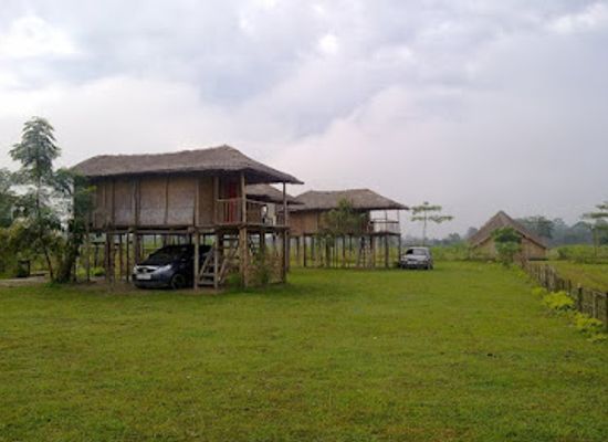 india/nagaland/landmark/dhansiri-eco-camp