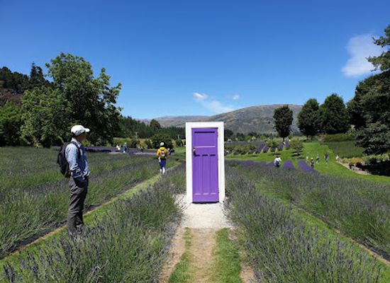 new-zealand/wanaka/landmark/wanaka-lavender-farm