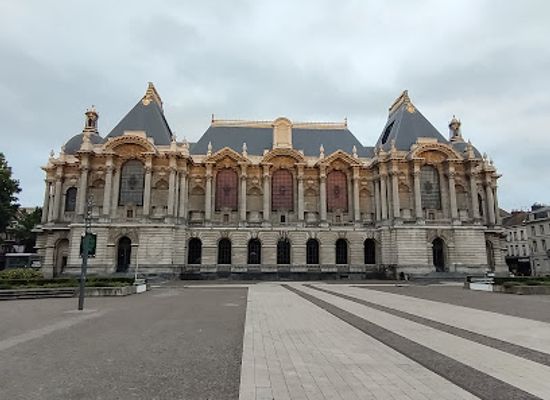 france/lille/centre-ville/landmark/palais-des-beaux-arts