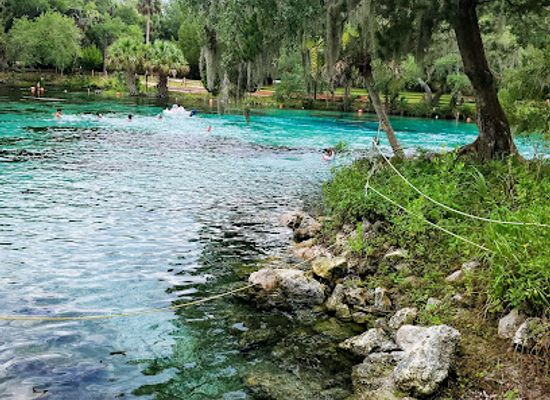 florida/juniper-springs-recreation-area/landmark/silver-glen-run