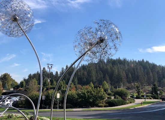 idaho/coeur-d-alene/landmark/mceuen-park