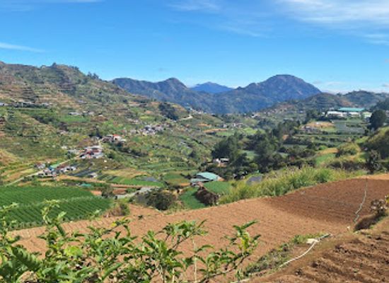 philippines/ilocos-region/landmark/mount-pulag-view-spot