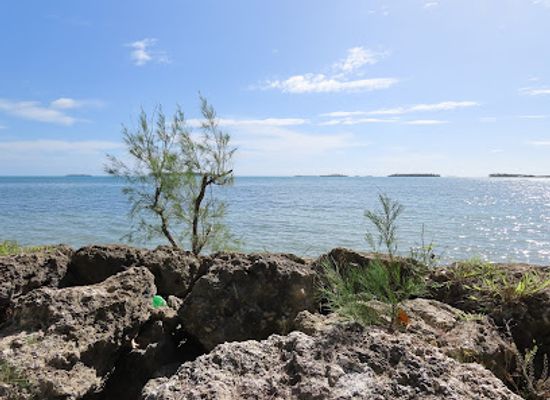 tonga/nuku-island/landmark/turtle-sanctuary
