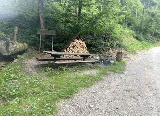 switzerland/western-switzerland/landmark/rest-platz