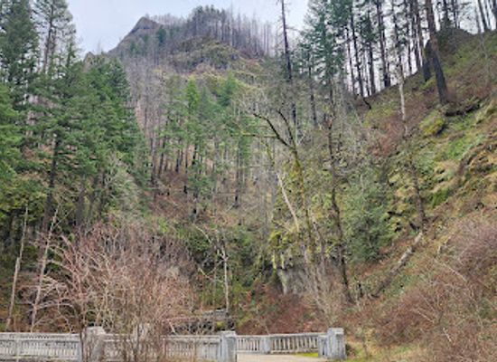 oregon/columbia-river-gorge/landmark/historic-columbia-river-highway-state-trail-bridge-at-mccord-creek
