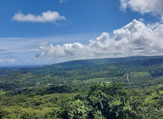 barbados/scotland-district/landmark/scotland-view-bar-variety