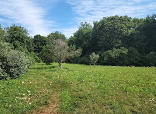 rhode-island/westerly/landmark/moorewoods