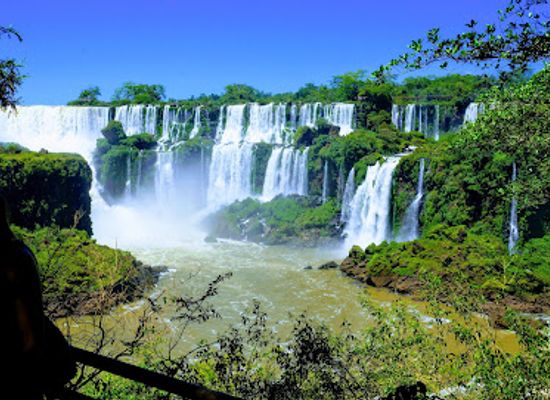 brazil/south-region/landmark/iguazu-national-park-nature-interpretation-center