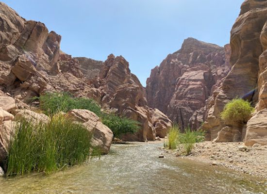 jordan/wadi-hasa/landmark/wadi-al-hasa-hike-trail