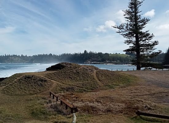 norfolk-island/mount-pitt/landmark/pinetree-tours