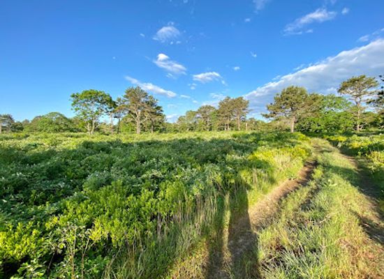 massachusetts/martha-s-vineyard/landmark/long-point-wildlife-refuge